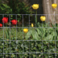 Wholesale Price Galvanized Wire Mesh For Farm Fence